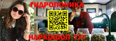 стафф Краснознаменск